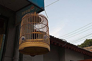 《神之浩劫2》创始者版现已开启预购 国区108元起